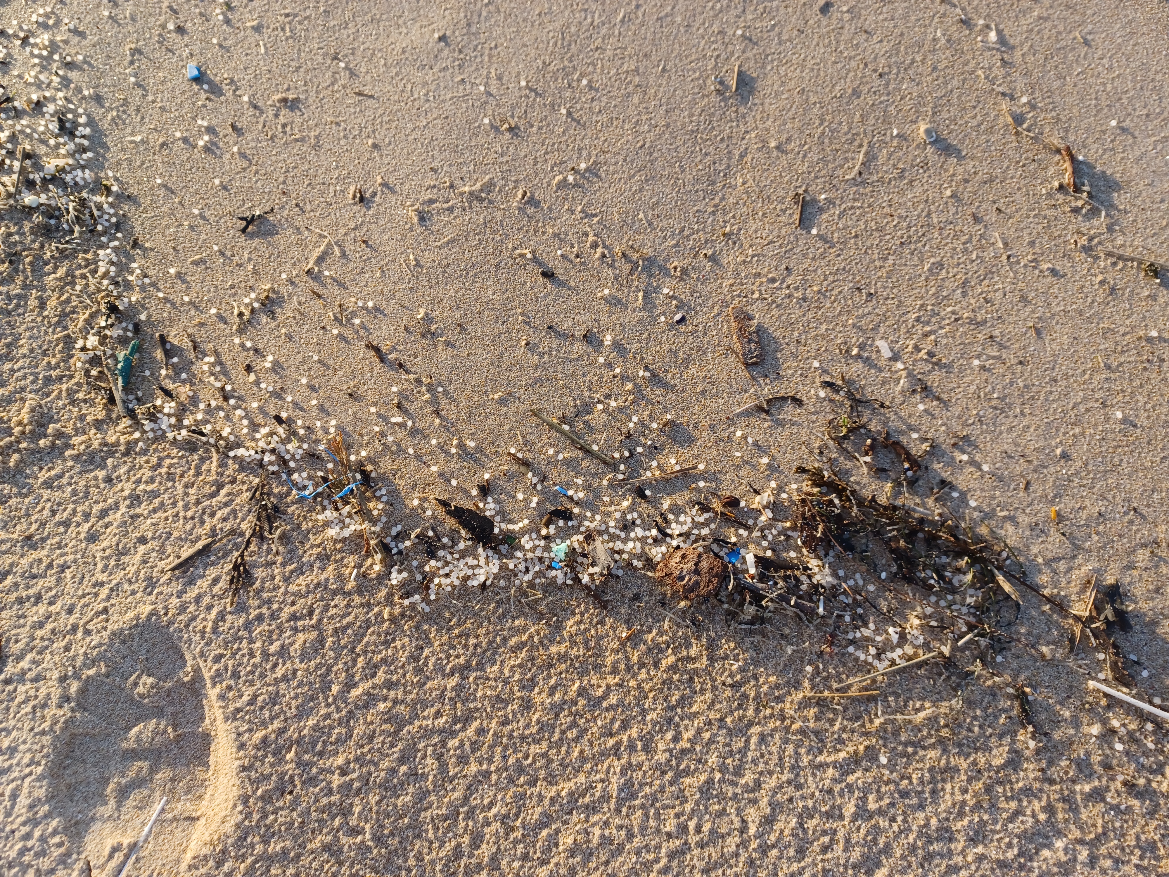 BÁGOAS DE SEREA NAS PRAIAS DA COMARCA