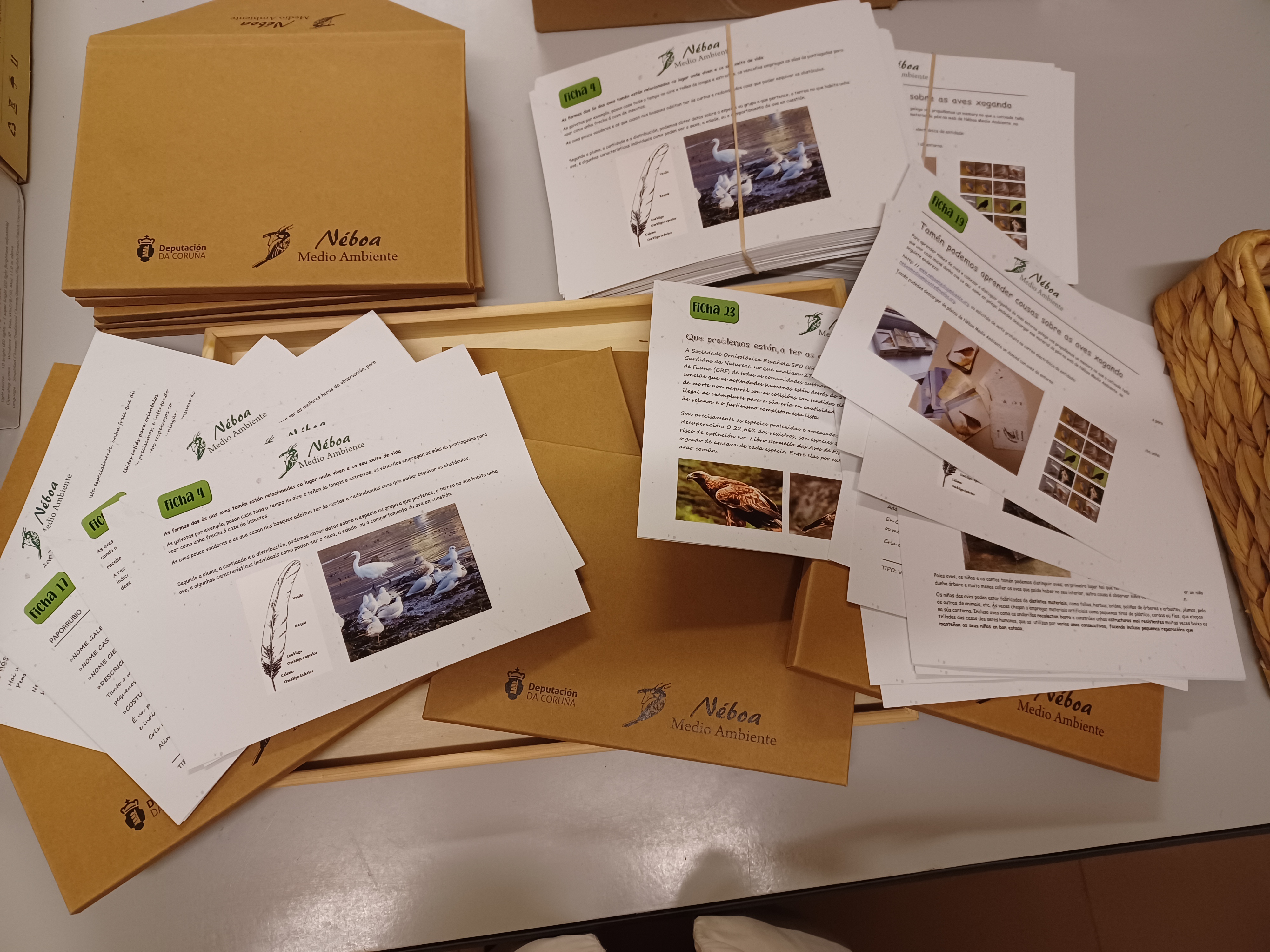 ESTREAMOS UNIDADE DIDÁCTICA