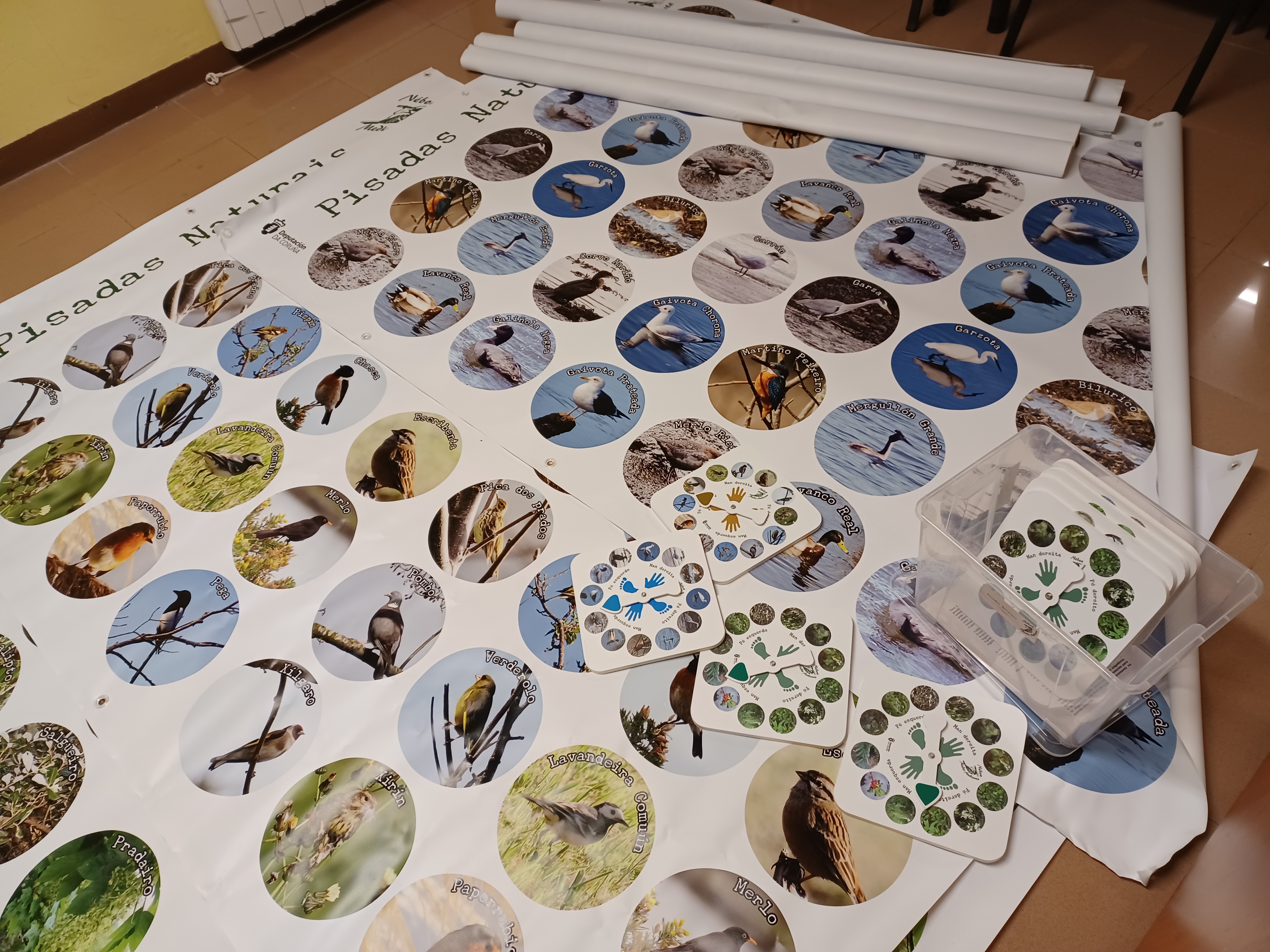 NOVOS MATERIAIS DE NÉBOA MEDIO AMBIENTE: XOGOS DE EDUCACIÓN AMBIENTAL