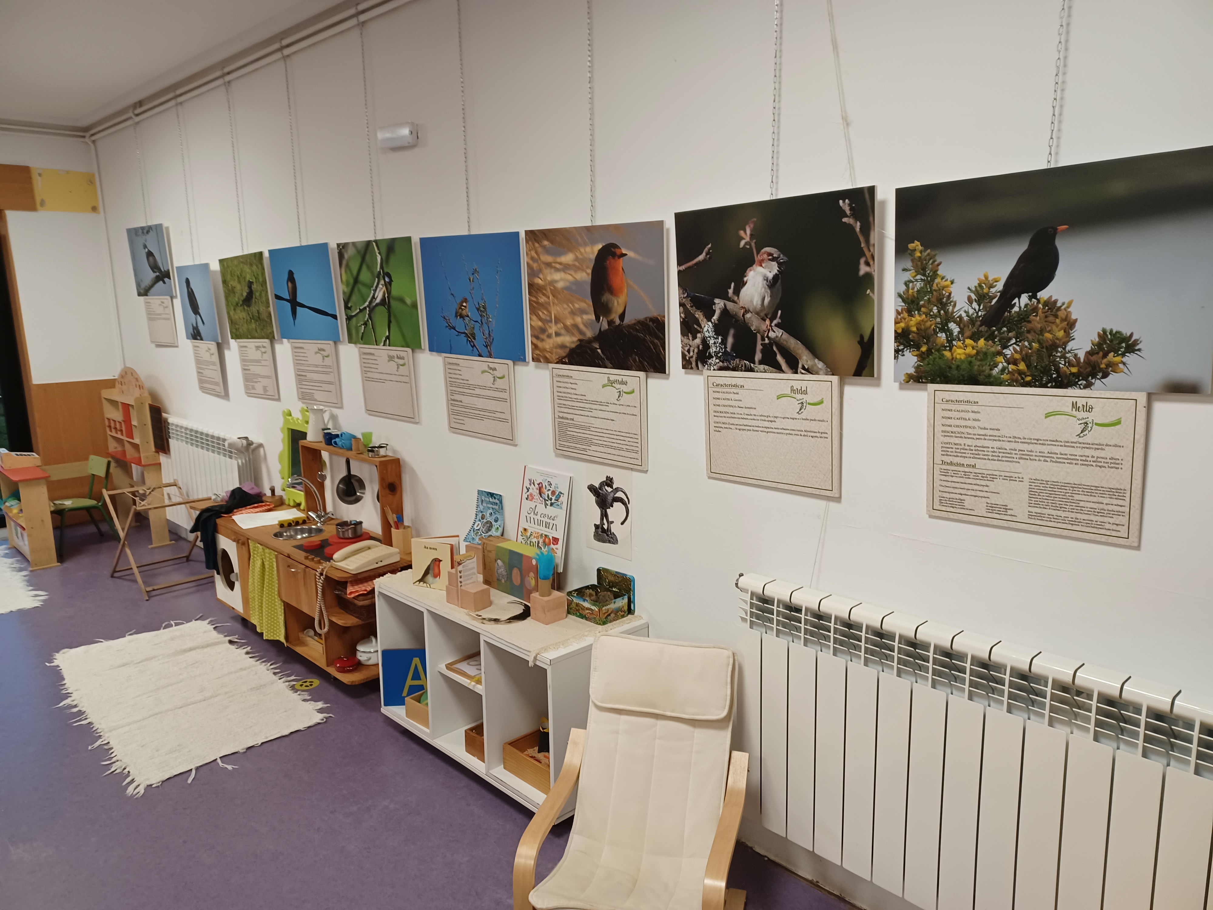 EXPOSICIÓN DAS AVES DO CONCELLO DE NEDA NA ESCOLA SEMENTE DO ROXAL