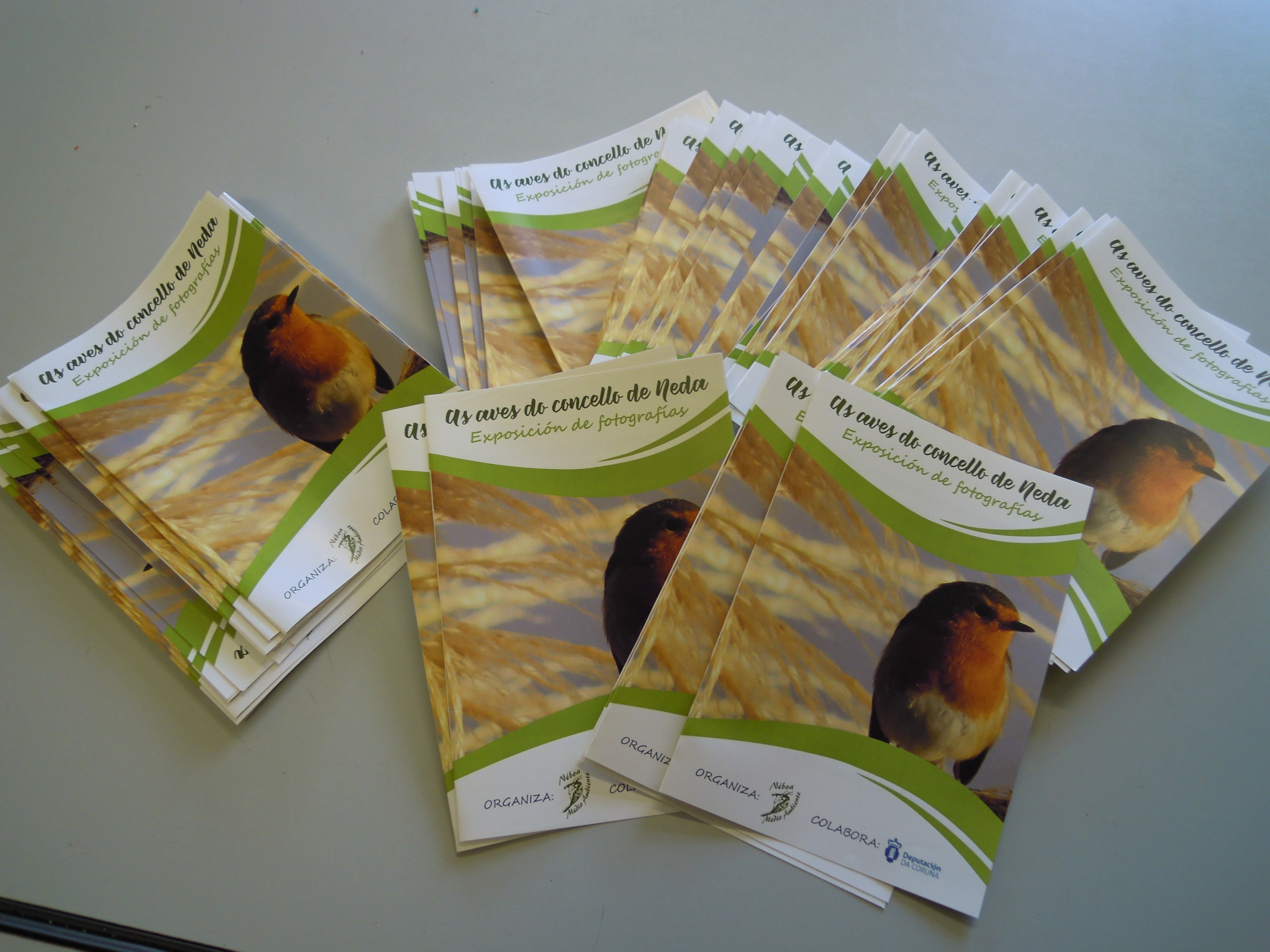 INAUGURAMOS A EXPOSICIÓN SOBRE AS AVES DO CONCELLO DE NEDA