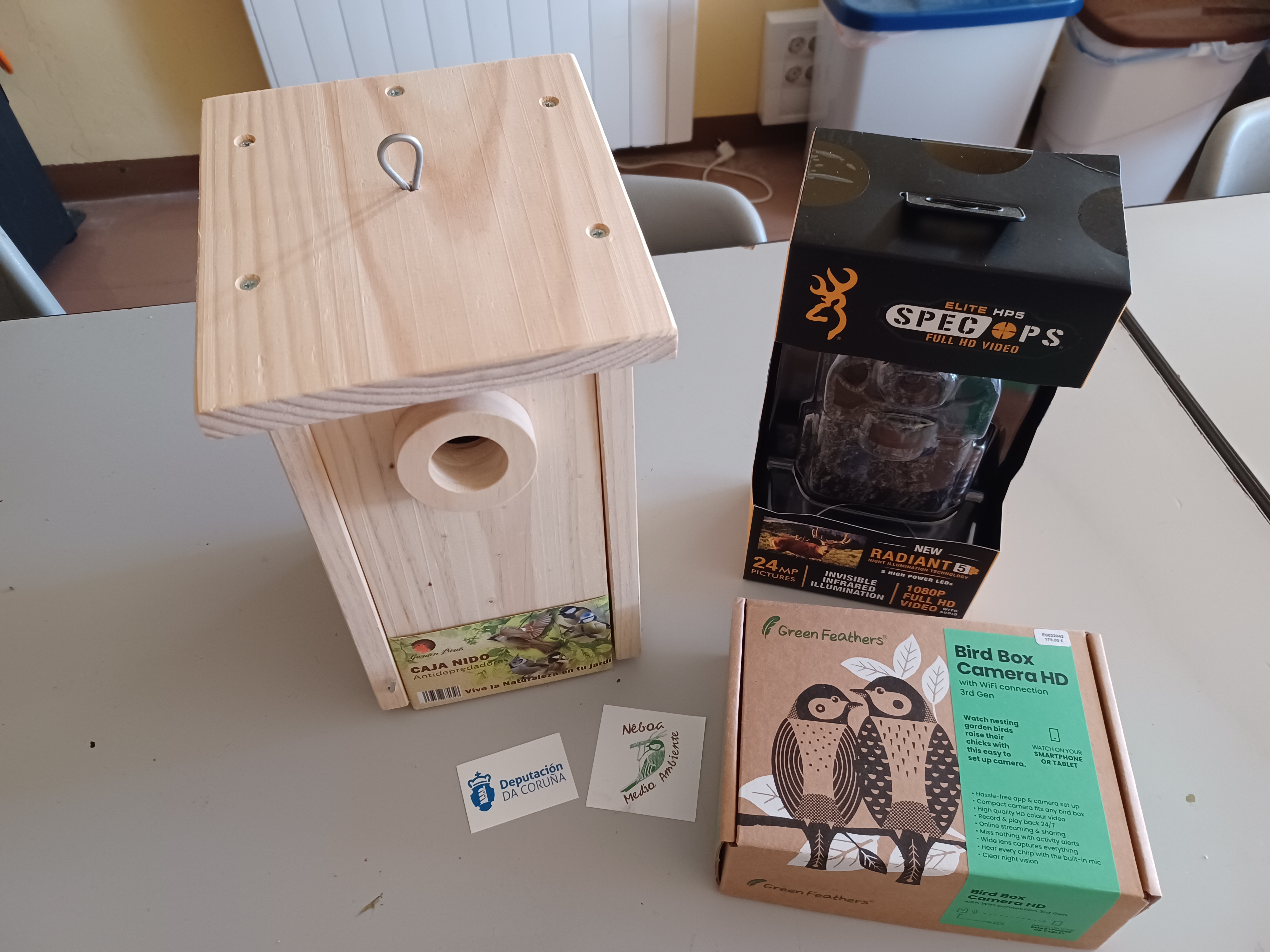 UN ANO MÁIS CELEBRAMOS O DÍA DAS AVES CON VÓS