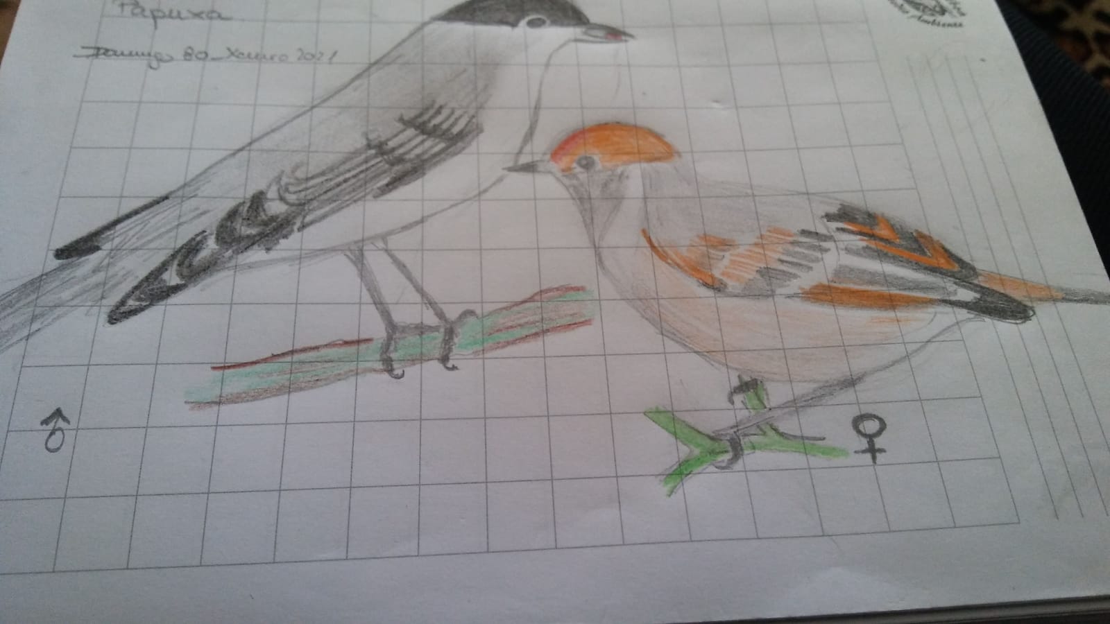 MÁIS IMAXES DA QUEDADA VIRTUAL