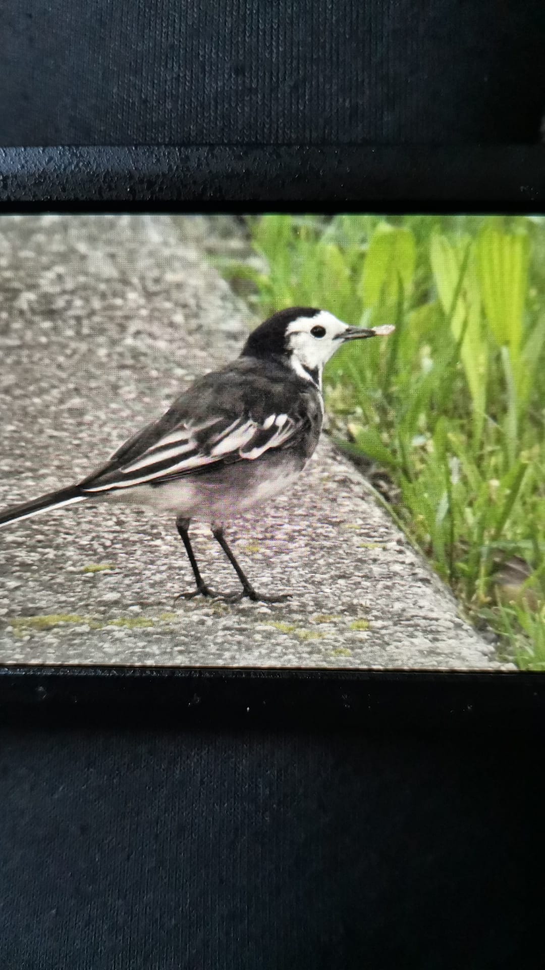 MÁIS FOTOS DOS COMPAÑEIROS DE QUEDADA