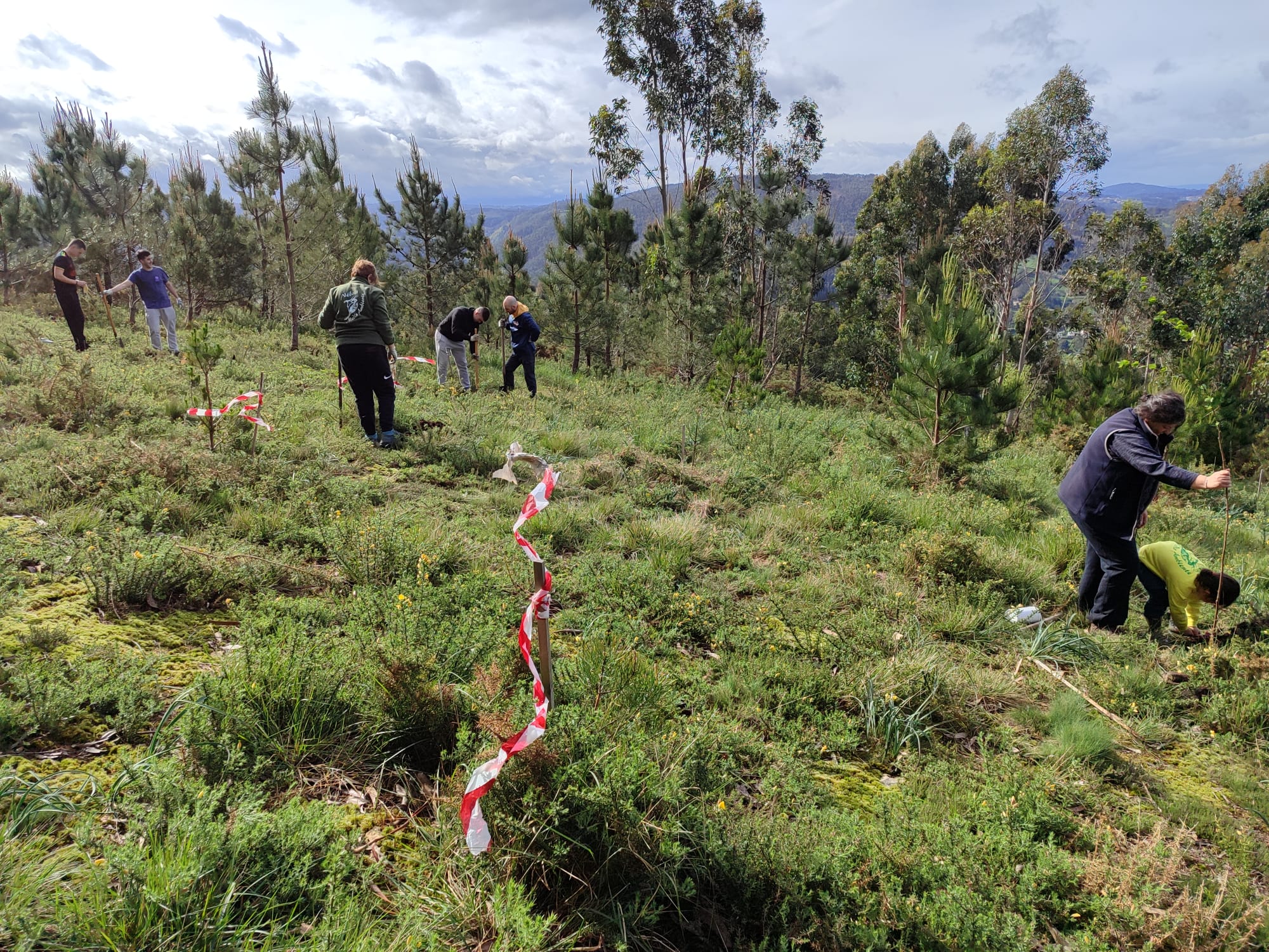 ALGUNHAS FOTOS DA NOSA PLANTACIÓN