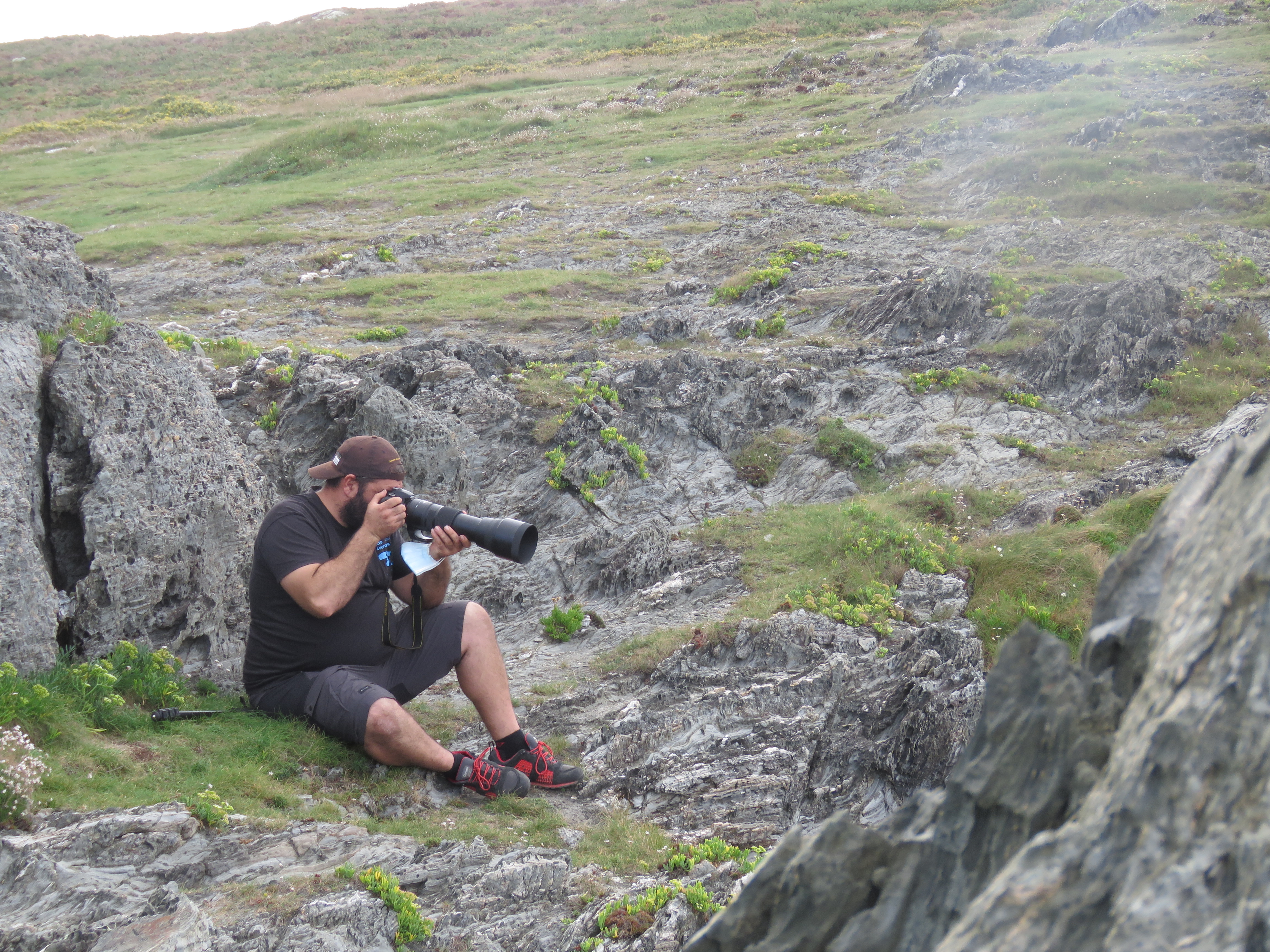 PAXAREANDO XUNTOS DE NOVO